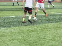 全球央行黄,金减持趋势,显现,乐竞体育官网,APP下载,注册领彩金,官方网站,网站入口