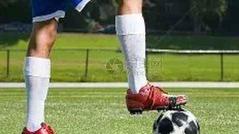 《抖音热歌《爱你想你怨你念你》揭秘，经典《野百合也有春天》完整歌词分享》