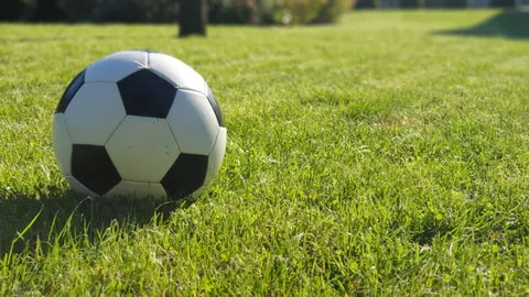 乐竞体育 产品 084632 244